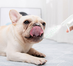 PetFit Moderno Detergente Personalizzato per Tappeti con Enzimi e Probiotici, Certificato CE, per Rimuovere Macchie e Odori di Urina di Gatto e <span class=keywords><strong>Feci</strong></span> di Cane - Product Image 2