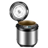 Autocuiseur Électrique 6L en Acier Inoxydable avec Design Extérieur Exclusif et Moule Privé Unique pour Usage Domestique