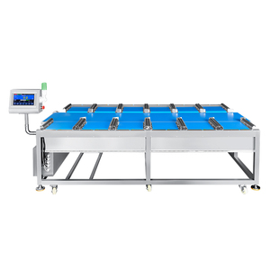 BIBO - Comprobador de Peso Lineal Personalizado de 12 Cabezas para Inspección de Peso de Naranjas y Ajos en Caja - Product Image 1