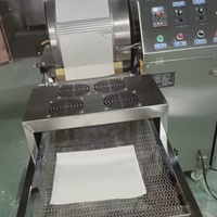 Machine à fabriquer des feuilles de pâte à samosas entièrement automatique en acier inoxydable, machine à faire des enveloppes de rouleaux de printemps