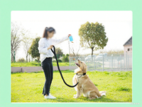 Pochette à friandises pour animaux de compagnie réutilisable avec logo personnalisé, porte-clés, étui en silicone pour friandises pour chien, petite pochette à friandises pour chien avec poignée