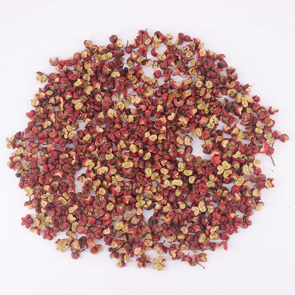 Pimentão vermelho seco natural especiarias chinesas Hua Jiao para alimentos picantes Zantoxilum Bungeanum Maxim Pimentão Sichuan atacado