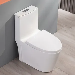 Ensemble d'accessoires de salle de bain en céramique, commodes, couleur blanche, wc standard australien, toilettes