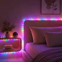 Bande LED flexible à changement de couleur RVB pour la décoration de miroir de salle de bain intérieure, compatible avec le contrôle par application OEM