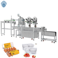 Machine d'étiquetage automatique électrique SKILT pour boîtes de fraises en plastique, avec alimentation par ventouse de type pieuvre pour étiqueteuse de barquettes de fruits frais