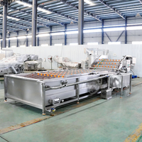 Sus 304 Avocado Ozon Groentewasmachine Koolreiniger Fruitwasser Wortels Reinigingsmachine Sla-wasser