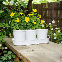 Ensemble de jardinières d'herbes avec plateau Pots d'herbes en métal de jardin pour plantes d'intérieur Kit rond de jardin de cuisine Pots de plantes de rebord de fenêtre jardinière