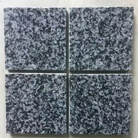 Dalles de granit gris foncé modernes polies, carreaux de sol et de mur en granit Impala Grey pour projets d'ingénierie intérieurs et extérieurs
