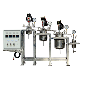 Réacteur CSTR de laboratoire bibo en acier inoxydable 316 (Cuve de réaction) avec moteur et chauffage intégrés - Product Image 1