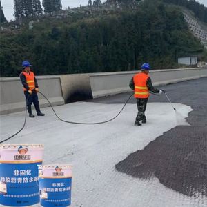 Non-Curing Rubber Asphalt Waterproof Paint for Kitchen Bathroom Wall and Floor Protection - Product Image 3