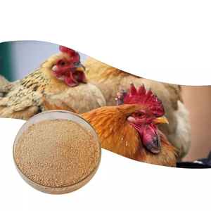 Lysin HCl 98,5/ USP L-Lysin/L-Lysin-Sulfat 60% Futtermittelqualität Tierfutter-Rohstoffe Aminosäure-Futtermittelzusatz L-Tryptophan für Rinder und Hühner - Product Image 1
