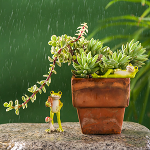 Adornos <span class=keywords><strong>de</strong></span> <span class=keywords><strong>Rana</strong></span> <span class=keywords><strong>de</strong></span> Resina para Micropaisajes, Macetas y Decoración del Hogar - Product Image 6