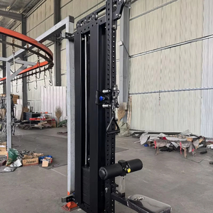 Máquina de Poleas Doble Ajustable para Ejercicios de Fondo y Tracción, Montada en Pared, Directo de Fábrica 2025, para Entrenamiento Completo en Casa - Product Image 1