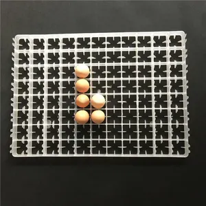 Industrial Incubator Parts 88 Chicken Egg Tray Incubator Egg Tray For Sale