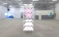 Système de culture hydroponique pour tomates/pommes de terre/laitue/fraises pour l'agriculture en serre, système hydroponique en PVC