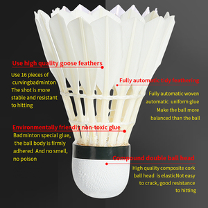 Whizz Model ZE-9 Goose Curving Feather Shuttlecock Durable Economic <strong>Badminton</strong> - Product Image 2