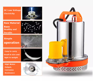 <span class=keywords><strong>Pompe</strong></span> submersible ZHELI DC 12V/24V en acier inoxydable pour l'industrie automobile OEM, haute pression, <span class=keywords><strong>arrosage</strong></span> de légumes, petite capacité 2LPM - Product Image 1