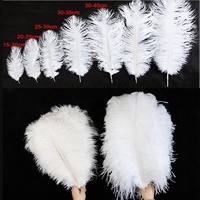 Plumes d'autruche colorées teintées à la main de haute qualité, 15-65 cm, pour la décoration de mariage et de fête