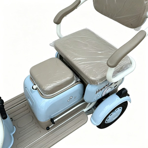 Tricycle électrique 48V 800W 20AH à plateau ouvert <span class=keywords><strong>pour</strong></span> adultes, personnes âgées et handicapées – Vélo à trois roues sans obstacle <span class=keywords><strong>pour</strong></span> adultes - Product Image 5