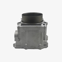 Kit de cylindre ATV Hisun HS750 pour moteur UTV Hisun HS750 750cc, utilisation quotidienne pour la réparation