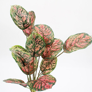 ใบต้นแอปเปิ้ลประดิษฐ์แบบมัดรวม ต้นไม้สีเขียวตกแต่งห้างสรรพสินค้า ใบต้นคาลาเทียสำหรับตกแต่งบ้าน ห้องตัวอย่าง จัดสวนจำลอง สมจริงสูง - Product Image 2