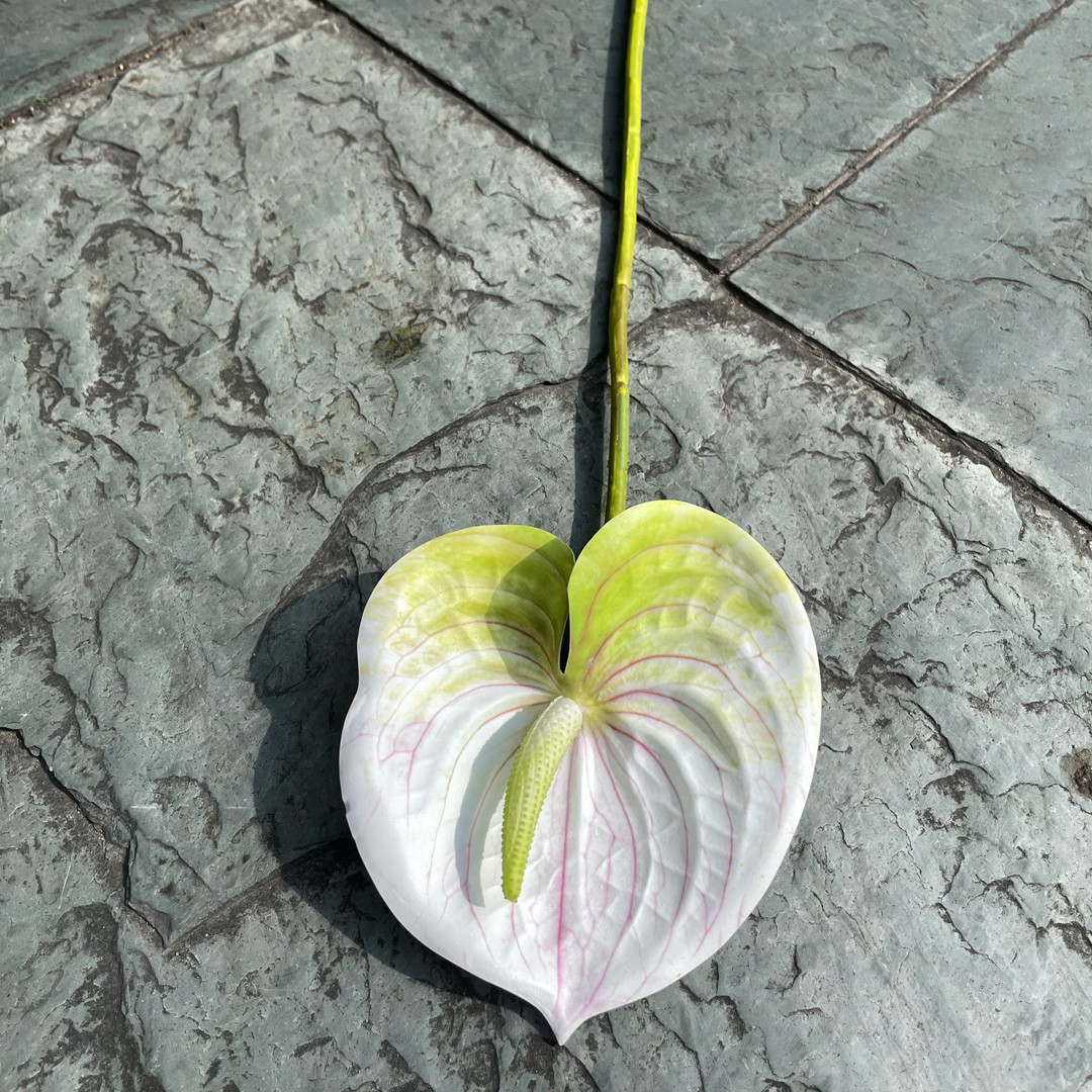 Bianco (bianco verde)