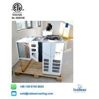 Unité de condensation à marche continue 1HP/2HP/3HP, évaporateur monobloc, économie d'énergie pour les entrepôts frigorifiques, les usines agroalimentaires aux États-Unis