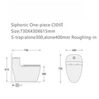 Ensemble de toilettes en céramique monobloc blanc, moderne et écologique, avec garantie de 3 ans, à poser au sol, pour hôtel ou salle de bain