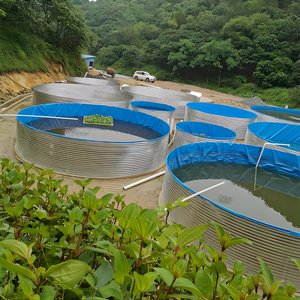 Vente en gros d'usine, réservoir de poissons en biofloc de grande taille pour l'aquaculture, réservoir d'élevage de poissons en PVC + acier galvanisé à chaud, étang à crevettes YUNMA - Product Image 3