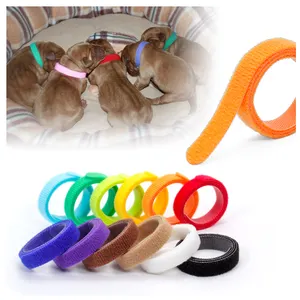 Personalized adjustable litter blank cat pets identification id customized nylon collar supplies puppy pet collars for small dog