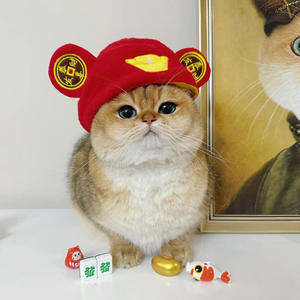 Costume mignon de <span class=keywords><strong>chien</strong></span> en peluche avec perruque d'hiver en coton chapeau de chat d'Halloween avec motif de tournesol <span class=keywords><strong>pour</strong></span> les propriétaires d'animaux domestiques - Product Image 3