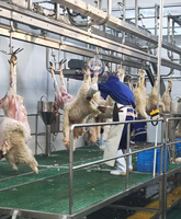Ligne d'abattage complète pour moutons, équipement d'abattoir halal pour agneaux avec machine d'abattage pour chèvres