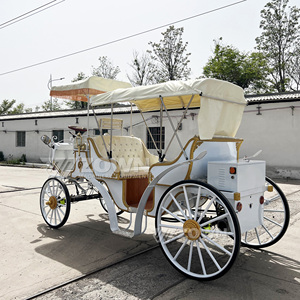 Carruaje Eléctrico Turístico de 4 Ruedas, Estilo Victoriano Real de Lujo, para Recorridos, Bodas, Parques de Atracciones, con Certificación CE - Product Image 4