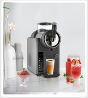 Nuevo tipo de máquina de aguanieve portátil Margaritas congeladas Máquina automática de aguanieve de bebidas congeladas para el hogar
