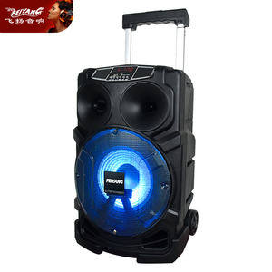 Altoparlante Audio Professionale da Esterno Club High COLOR Studio BASS Singolo da 10 Pollici con Torre BT USB per Chitarra PA DJ Musica Karaoke - Product Image 6