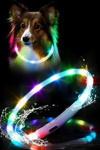 New Design Glowing LED USB Rechargeable Plastic Ribbons <b>Dog</b> Collar Multicolor Flashing Lights High Durable - Product Image 4