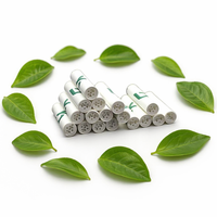 Embouts de filtre à cigarettes en céramique moderne haut de gamme avec charbon actif naturel de coquille de noix de coco pour l'élimination des odeurs de fumée, tailles 5.3-8mm