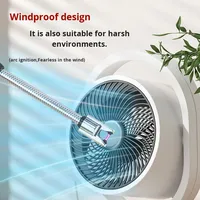 Allumeur de cuisine USB rechargeable du fabricant en gros Briquet d'interface Tpe-C Coupe-vent Arc Pulse Ignition Metal Material