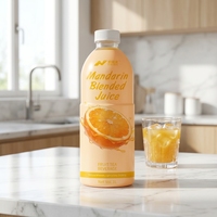 Nihewan Mandarijn Mengsappen Gevuld met Smaak, Magere, Suiker Vrij, 100% Natuurlijk, OEM ODM Bulk Groothandel Drank in Fles, Gepasteuriseerd