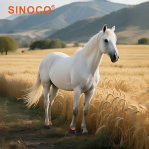 อุปกรณ์บำบัดด้วยแสงสีแดงแบบพกพาสำหรับการรักษาสัตว์ในวงการขี่ม้า ช่วยบรรเทาอาการอักเสบและปวดในเนื้อเยื่อชั้นลึก - Product Image 2