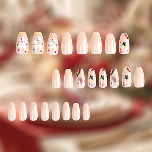 Top vente 24 pièces Long Ballet couleur nue noël <span class=keywords><strong>ongles</strong></span> artificiels faux <span class=keywords><strong>ongles</strong></span> avec de la colle étanche faux <span class=keywords><strong>ongles</strong></span> - Product Image 2