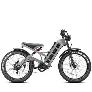 Chất Béo Lốp Leo Núi Xe Đạp Cho Người Lớn Phía Sau Động Cơ 250W 48V 26 "Lớn Lốp Xe 2 Bánh Xe E Xe Đạp EU Kho Đầy Đủ Hệ Thống Treo - Product Image 2