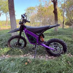 Moto Elettrica da Fabbrica Cinese 1500W/2000W Grande Potenza Batteria al Litio Freno a Disco 3 Velocità - Product Image 2