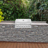 Barbecue à gaz encastré intégré en acier inoxydable pour cuisine extérieure et table de jardin