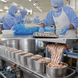 Atún Enlatado Listo para Comer Rico <span class=keywords><strong>en</strong></span> Nutrientes, Atún Skipjack Enlatado de Grado Comercial <span class=keywords><strong>en</strong></span> Aceite de Oliva - Product Image 6