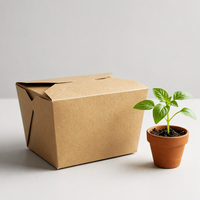 Boîte à hamburger en kraft personnalisable avec logo, biodégradable, écologique, imperméable, support incliné en papier kraft pour frites