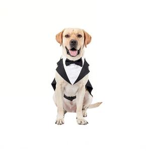 Ensemble de costume de smoking de luxe classique personnalisé pour chien Tanpopo avec collier, bandana, nœud papillon et chemise de cérémonie pour animaux de compagnie pour mariage et fête - Product Image 4