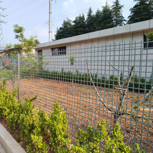 عرض رائع-الحديقة - Product Image 3