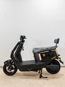 Moto Vintage Haute Performance pour Adultes avec Moteur Puissant 1000W 60V et Batterie Longue Portée - Prix de Gros Usine - Product Image 2