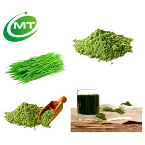 Rifornimento della fabbrica estratto di erba di grano in polvere Triticum Aestivum verde erba di grano in polvere per bevande alimenti per la salute - Product Image 3